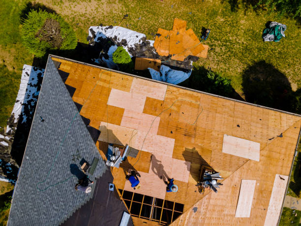 Best Roof Leak Repair  in Waipahu, HI